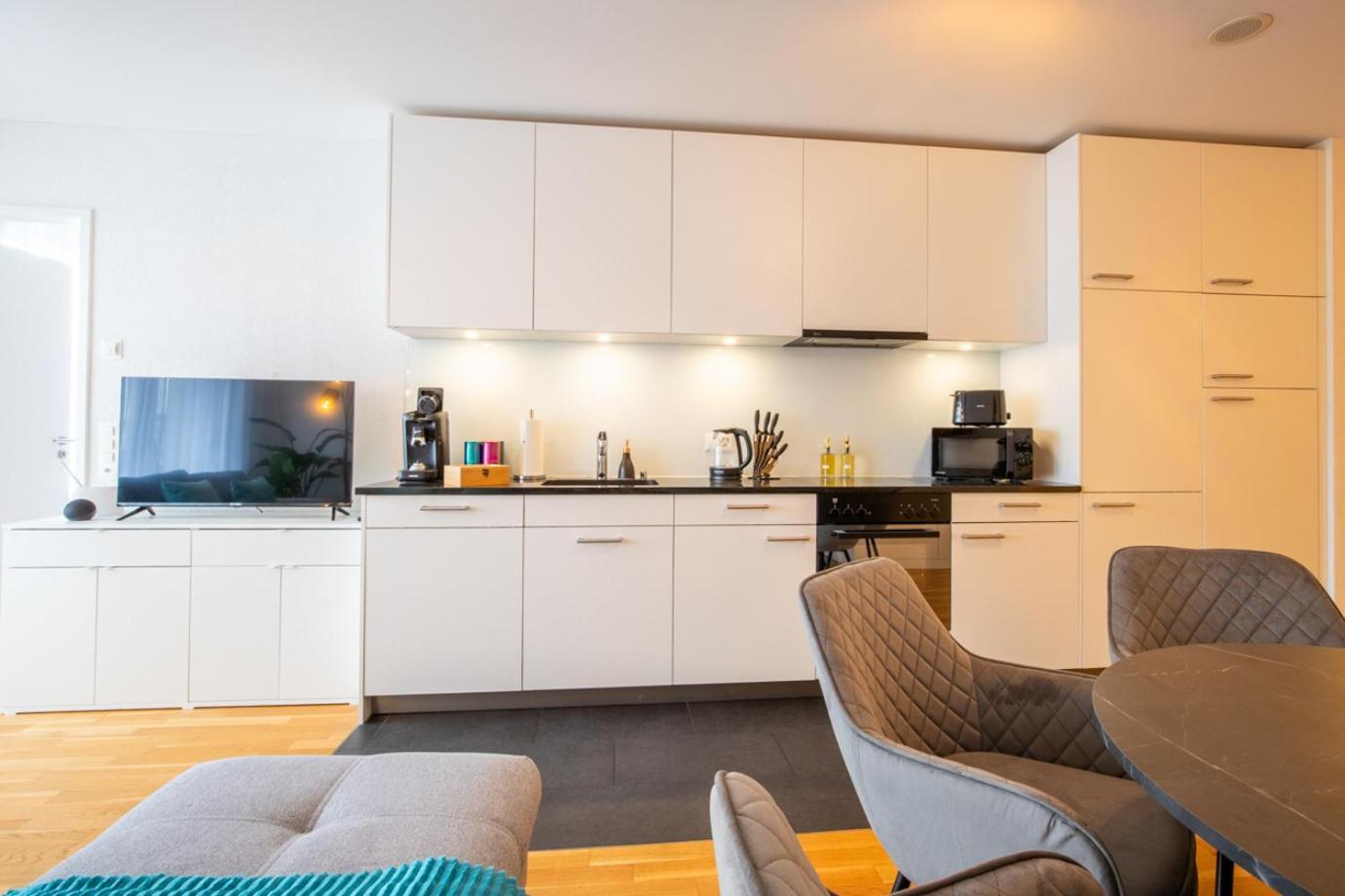 Special Einstein II Apartment Basel, Messe Kleinbasel 10-Star Zewnętrze zdjęcie